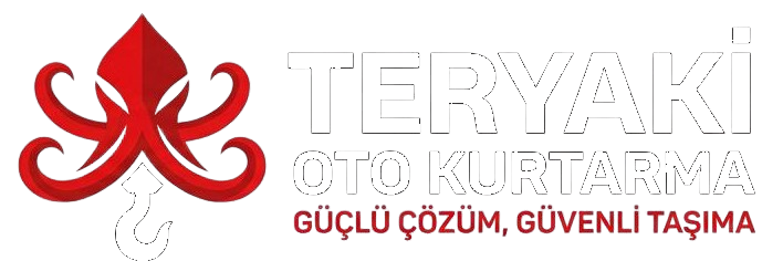 Teryaki Ahtapot Çekici